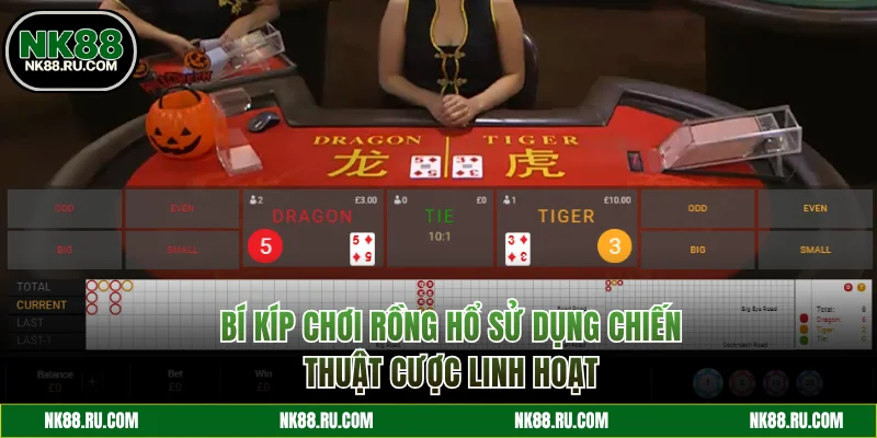 Bí kíp chơi Rồng Hổ cược linh hoạt