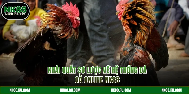 Khái quát hệ thống đá gà online tại trang web