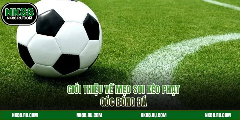 Những điều cần biết về kèo chấp phạt góc bóng đá